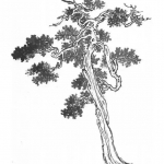 国画绘画技巧：柏、树、竹、芦苇的总结