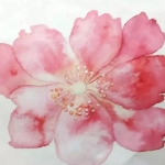 用国画来画无骨花卉有哪些技巧？