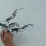 基础开始学习国画虾的画法步骤