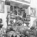 初学素描如何解决黑白灰的关系？