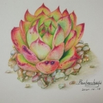 彩铅画从何学起最简单省事？