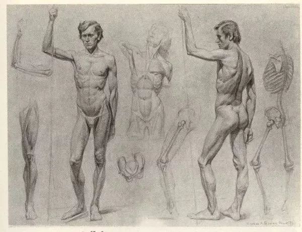 什么是结构素描？结构素描教程知识详细讲解