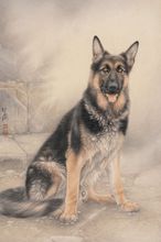 刘继彪(刘继彪云南)