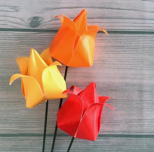 折纸郁金香简单的方法有哪些？(纸折郁金香的折纸方法)