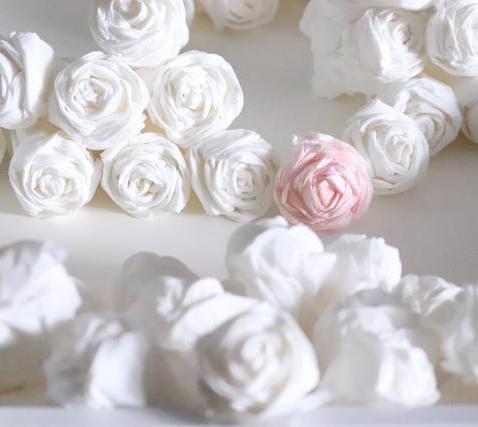 卫生纸折花手工有哪些好看又美丽的？(卫生纸折花教程)