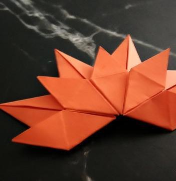 枫叶折纸怎么折？详解折纸枫叶制作教程(枫叶手工折纸)