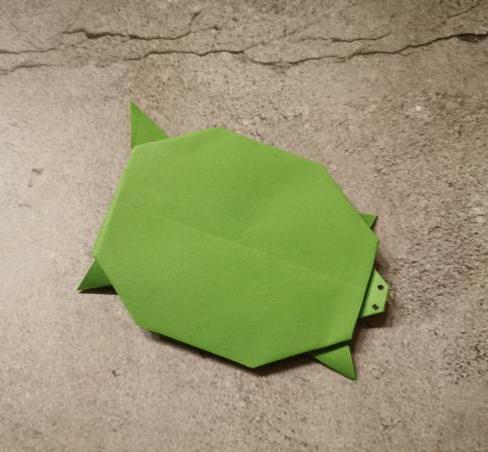 乌龟折纸如何做？分享简单的小乌龟折纸方法(折纸乌龟简单折法)