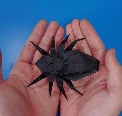 折纸蜘蛛怎么折？分享超有趣的手工折纸蜘蛛步骤(折蜘蛛最简单的方法)