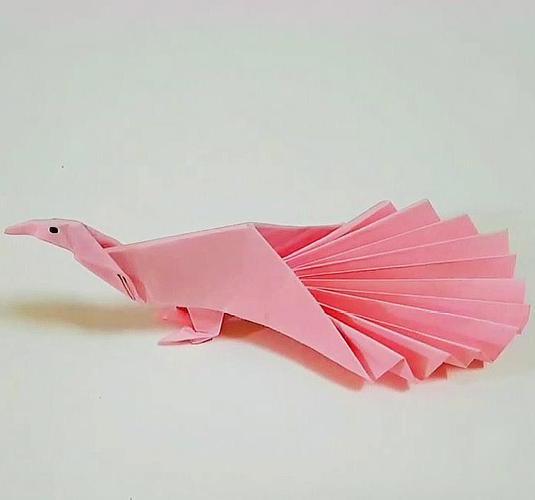 纸孔雀怎么折一步一步教我步骤是什么？如何用纸折孔雀？(手工孔雀怎么折)