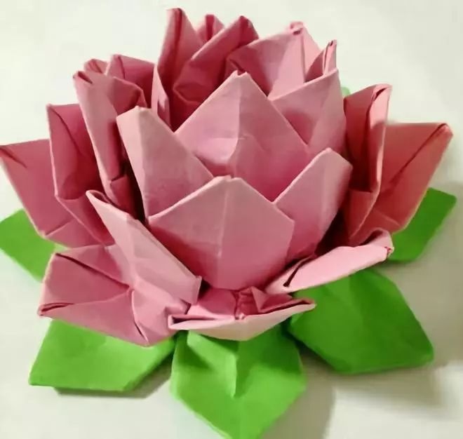 折纸荷花的详细步骤，为什么这么多人喜欢荷花(折纸荷花)