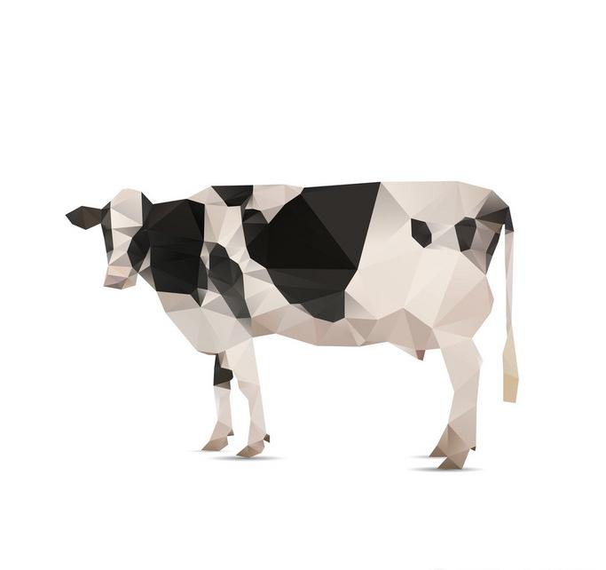 折纸牛的方法步骤，牛的品种及特点有哪些(手工折纸牛步骤图)