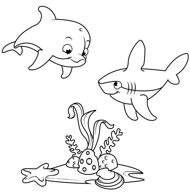 海底世界海豚和鲨鱼简笔画