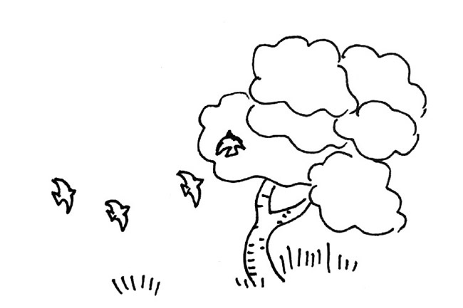 分享几幅秋天的简笔画 分享几幅秋天的简笔画