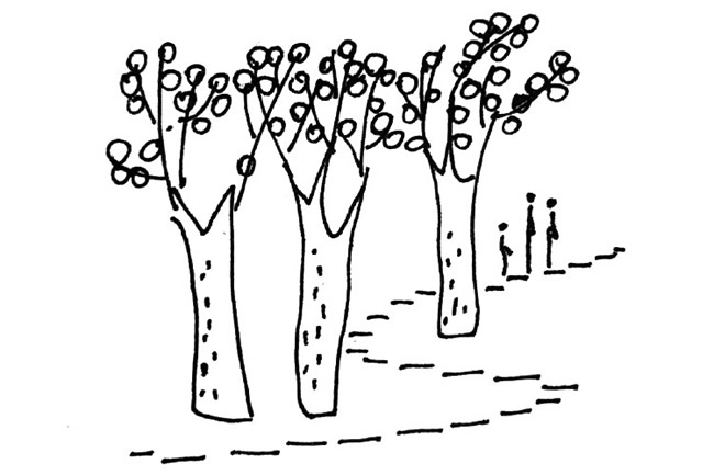 分享几幅秋天的简笔画 分享几幅秋天的简笔画