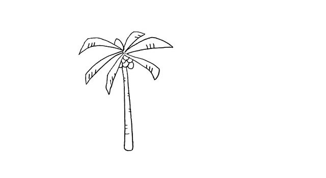 简单的椰岛简笔画