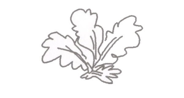 小村舍的简笔画步骤 小村舍的简笔画步骤