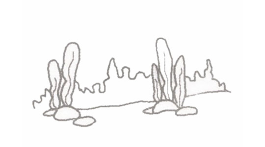 海底世界简笔画的画法