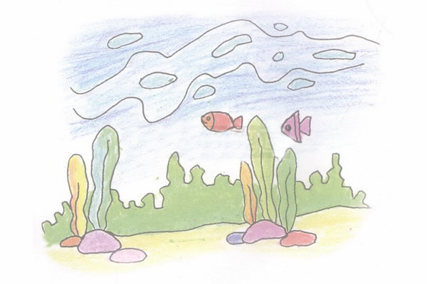 海底世界简笔画的画法