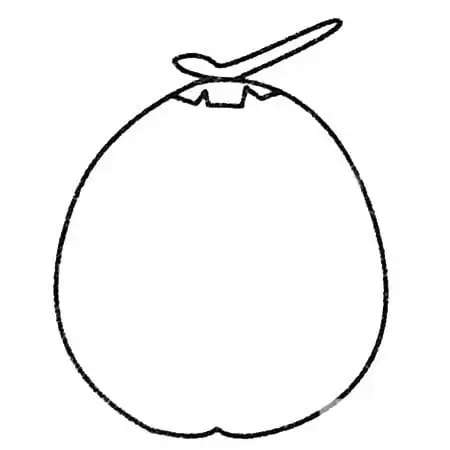 叫你画一个简单的椰子