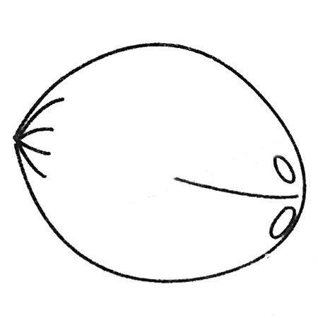 一个椭圆的椰子简笔画
