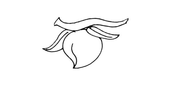 树枝上的水蜜桃简笔画