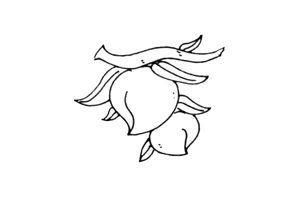 树枝上的水蜜桃简笔画