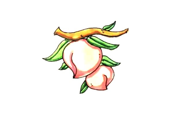 树枝上的水蜜桃简笔画