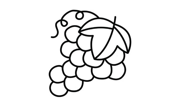 简单的葡萄儿童画