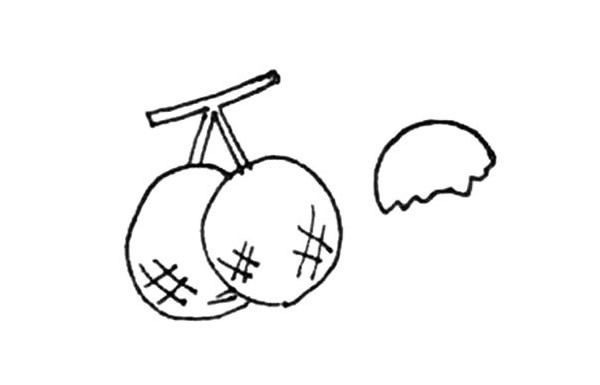 桂圆简笔画详细步骤