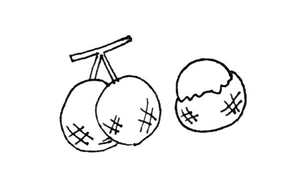 桂圆简笔画详细步骤