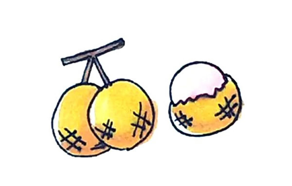 桂圆简笔画详细步骤