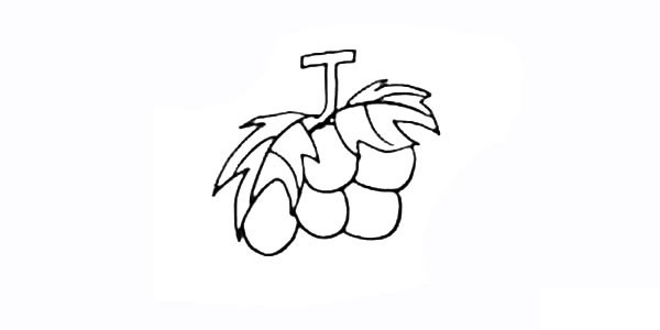 葡萄简笔画详细教程