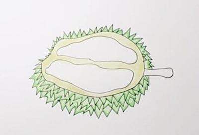 生动形象的榴莲简笔画 生动形象的榴莲简笔画