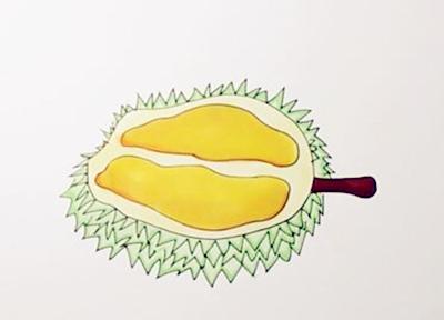 生动形象的榴莲简笔画 生动形象的榴莲简笔画