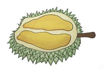 生动形象的榴莲简笔画 生动形象的榴莲简笔画