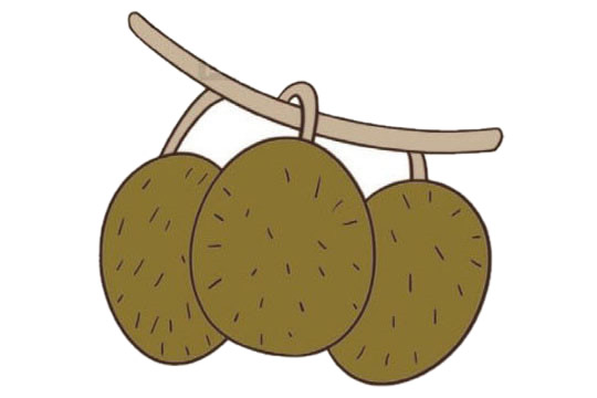 挂在一起的三颗猕猴桃简笔画 挂在一起的三颗猕猴桃简笔画