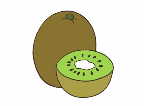 彩色的猕猴桃简笔画