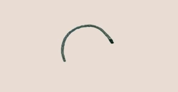 木瓜简笔画的画法