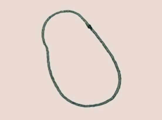 木瓜简笔画的画法