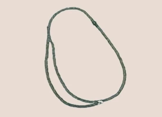 木瓜简笔画的画法