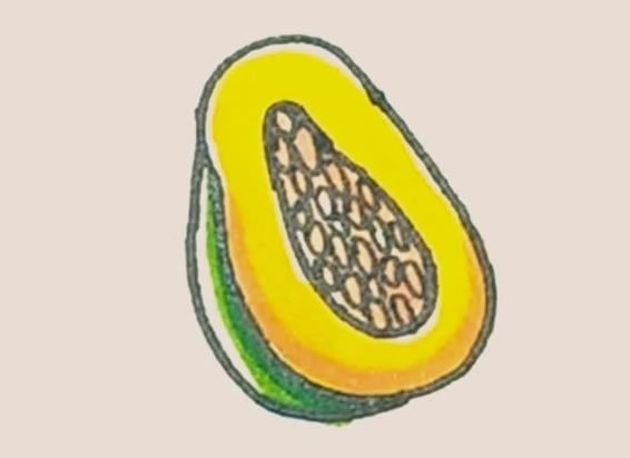 木瓜简笔画的画法
