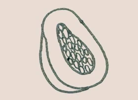 木瓜简笔画的画法