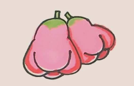 莲雾简笔画步骤