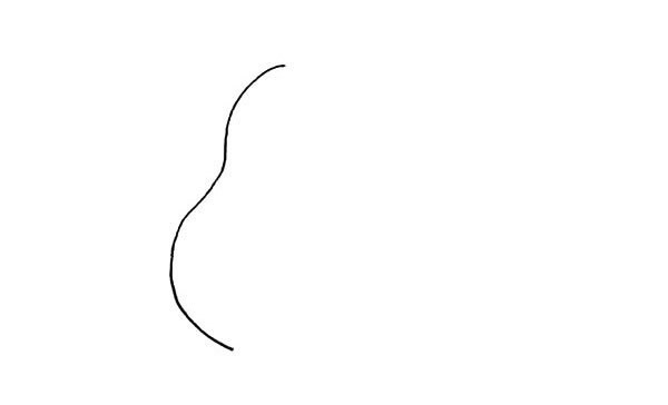 两个黄梨简笔画步骤