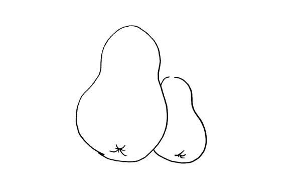 两个黄梨简笔画步骤