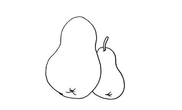 两个黄梨简笔画步骤
