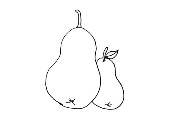 两个黄梨简笔画步骤