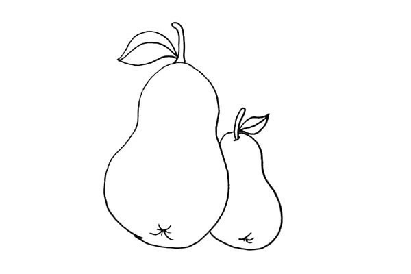 两个黄梨简笔画步骤