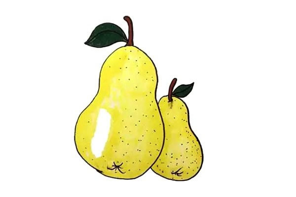 两个黄梨简笔画步骤