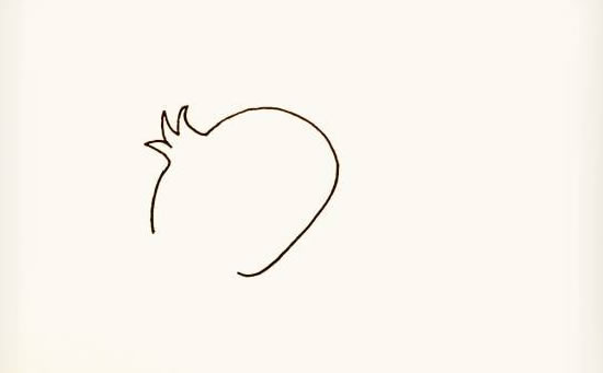 带叶子的石榴简笔画